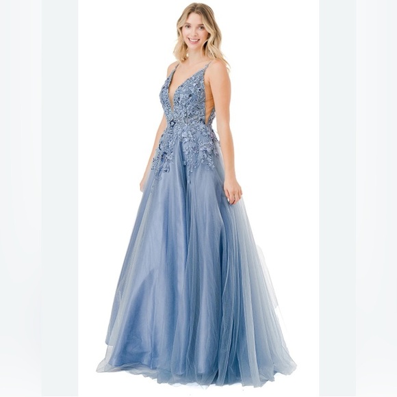 Aspeed Baby Blue Embroidered Prom Dress XXL Tulle Ball Gown – Worn Once - Picture 1 of 8